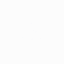 Page Loader Image